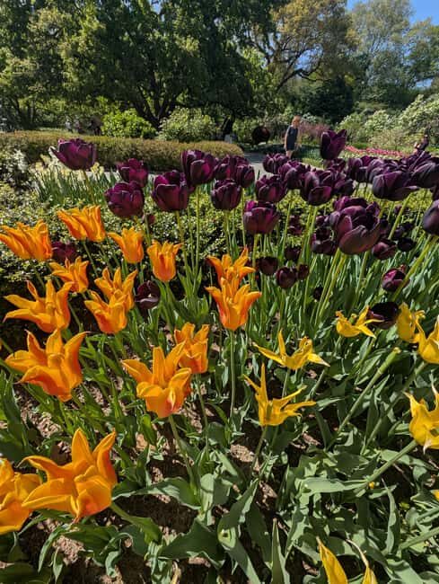 Central Park 5 Star Walking Tour led by Manhattan residents! - Practical Tips for Your Tour