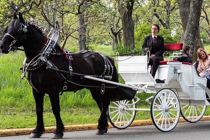 Central Park and NYC Horse Carriage Ride - Authentic Perspectives from Past Guests
