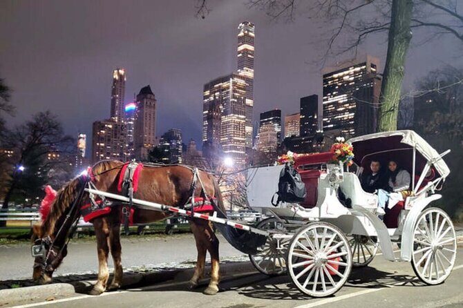 Central Park and NYC Horse Carriage Ride - Final Thoughts