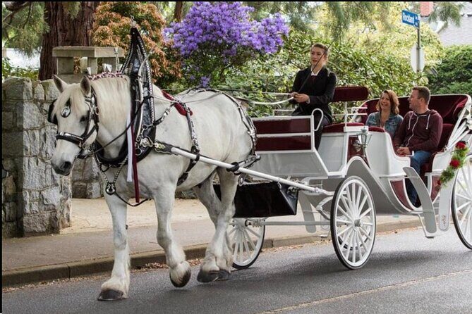 Central Park and NYC Private Horse Carriage Ride - What to Expect from the Central Park Horse Carriage Ride