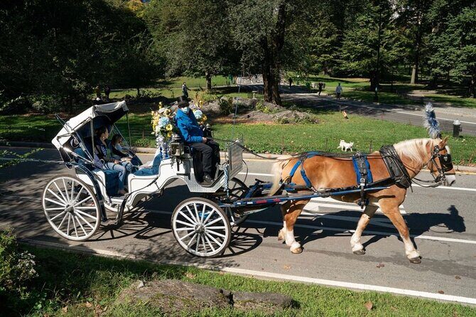 Central Park and NYC Private Horse Carriage Ride - The Sum Up