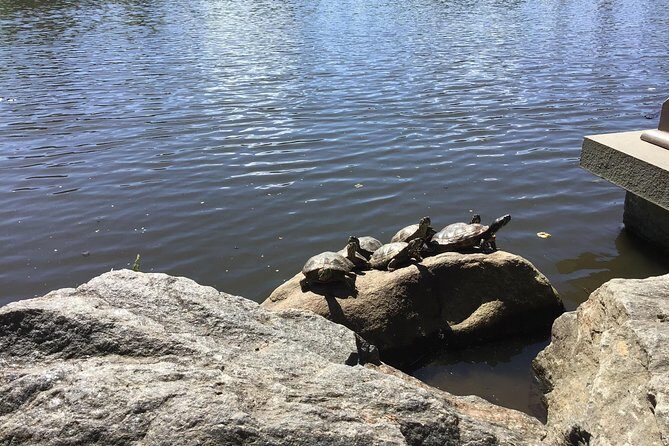 Central Park Guided Walking Tour - Pricing and Value