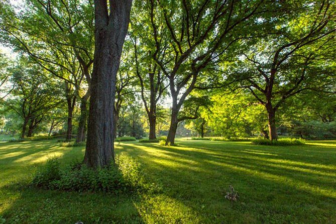 Central Park Guided Walking Tour - Who Is This Tour Best For?