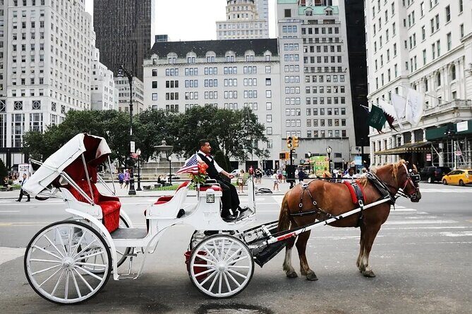 Central Park Horse Carriage Ride - Key Points