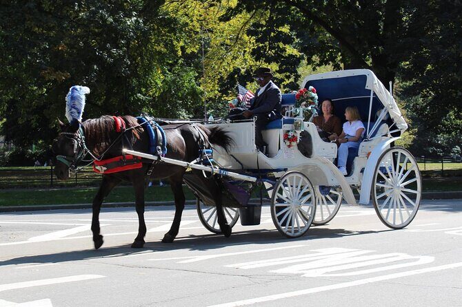 Central Park Horse Carriage Ride - The Sum Up