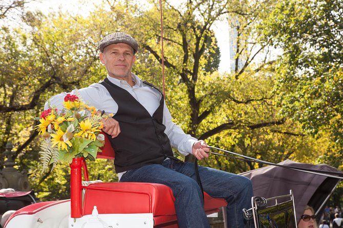 Central Park Horse Carriage Ride Short Loop (Up to 4 Adults)) - Weather and Cancellation Policy