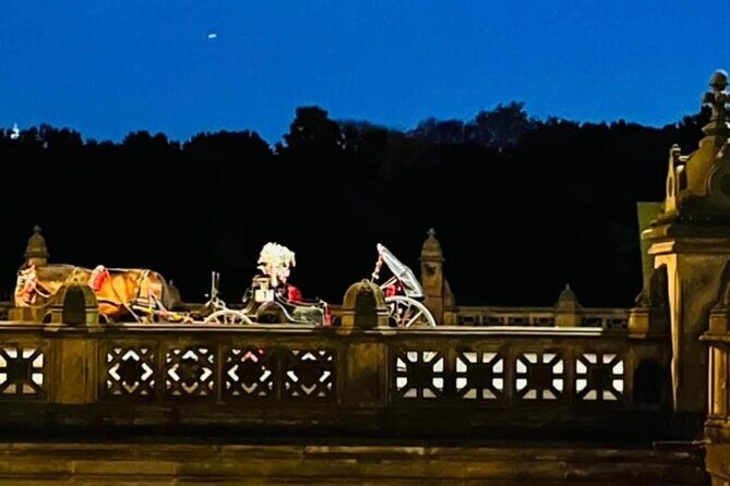 Central Park Moonlight Tour with Photo (45 min) ~ Skip the line - What the Reviews Say