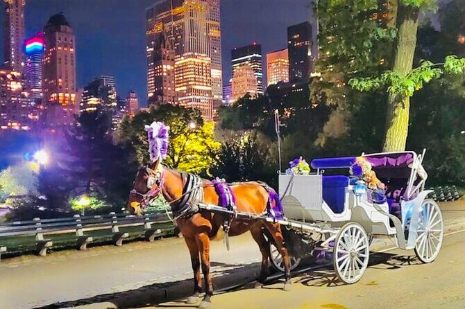 Central Park Moonlight Tour with Photo (45 min) ~ Skip the line - The Value for Money