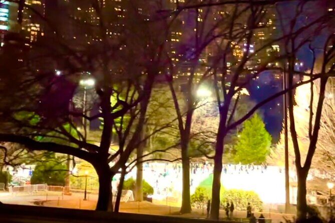 Central Park Moonlight Tour with Photo (45 min) ~ Skip the line - Who Is This Tour Best For?
