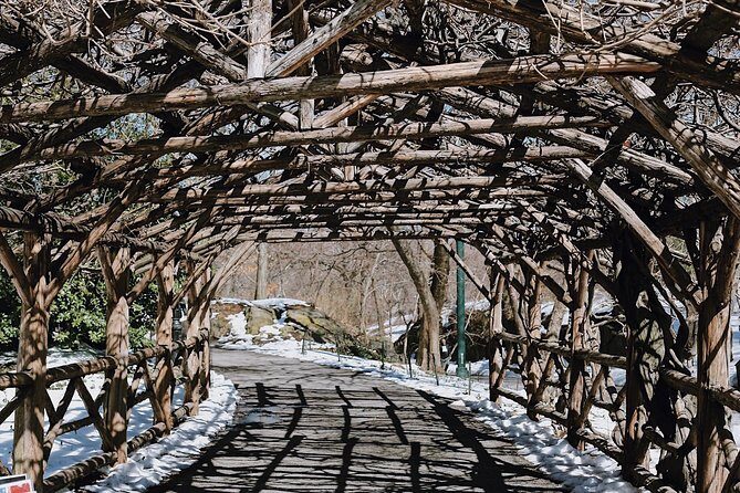 Central Park New York - Exclusive Guided Walking Tour - A Closer Look at the Tour Experience