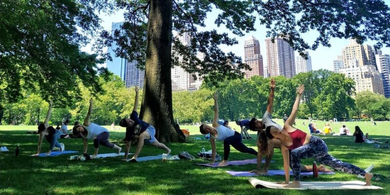 Central Park, New York: Yoga Classes in the park since 2012 - Pricing and Value