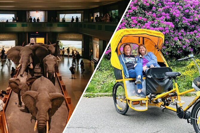 Central Park Pedicab Tour with Natural History Museum Access - The Itinerary Breakdown
