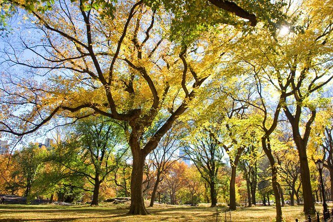 Central Park Photography Tour with Local Photographer - What to Expect From the Experience