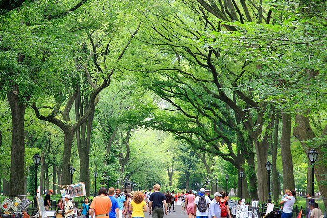 Central Park Photography Tour with Local Photographer - Final Thoughts