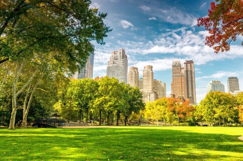 Central Park Private Walking Tour with Transfers - What You Can Expect from This Tour