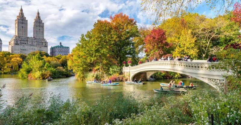 Central Park Private Walking Tour with Transfers - Value for Money and Practical Considerations