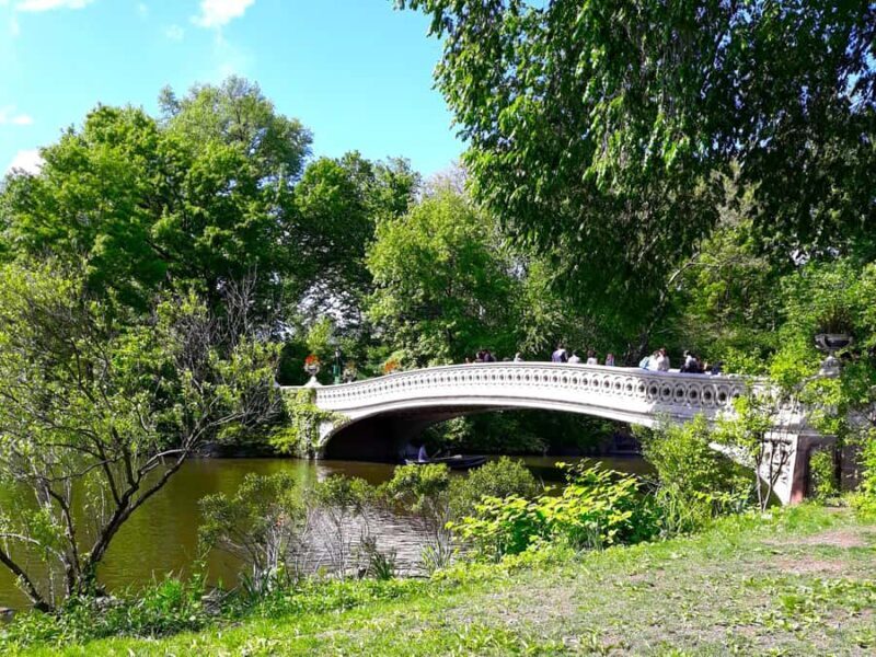 Central Park Promenade - Final Thoughts