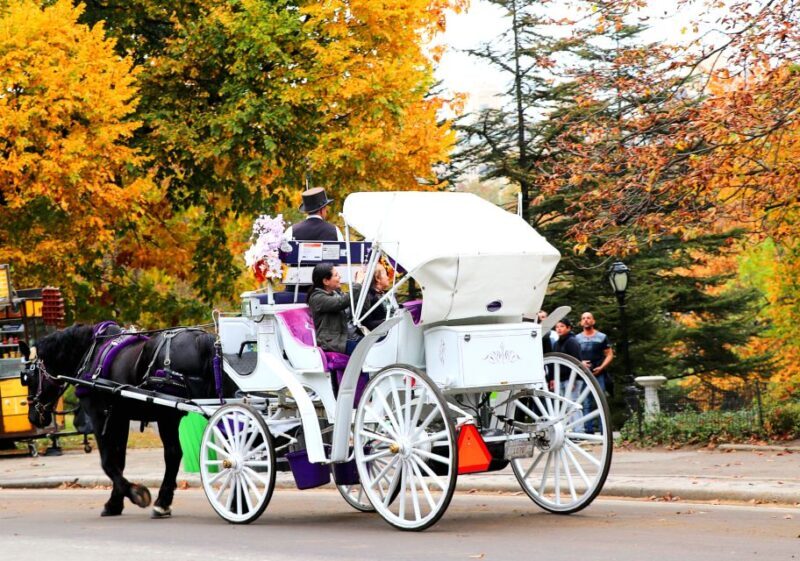 Central Park: Short Horse Carriage Ride (Up to 4 Adults) - Key Points