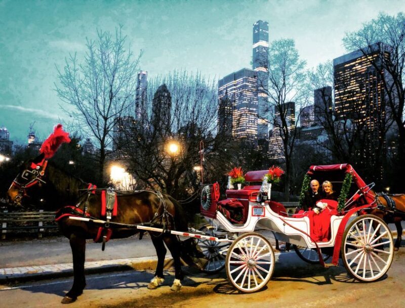 Central Park: Short Horse Carriage Ride (Up to 4 Adults) - What to Expect from the Horse Carriage Ride