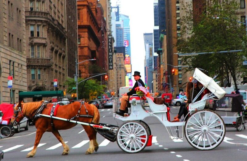 Central Park: Short Horse Carriage Ride (Up to 4 Adults) - Final Thoughts