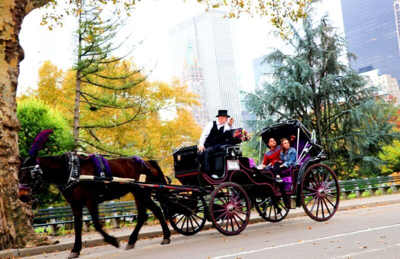Central Park: Short Horse Carriage Ride (Up to 4 Adults) - FAQ