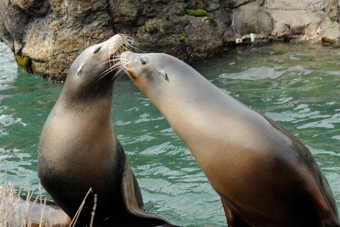 Central Park Zoo Admission Ticket with 4D Theater Access - Final Thoughts