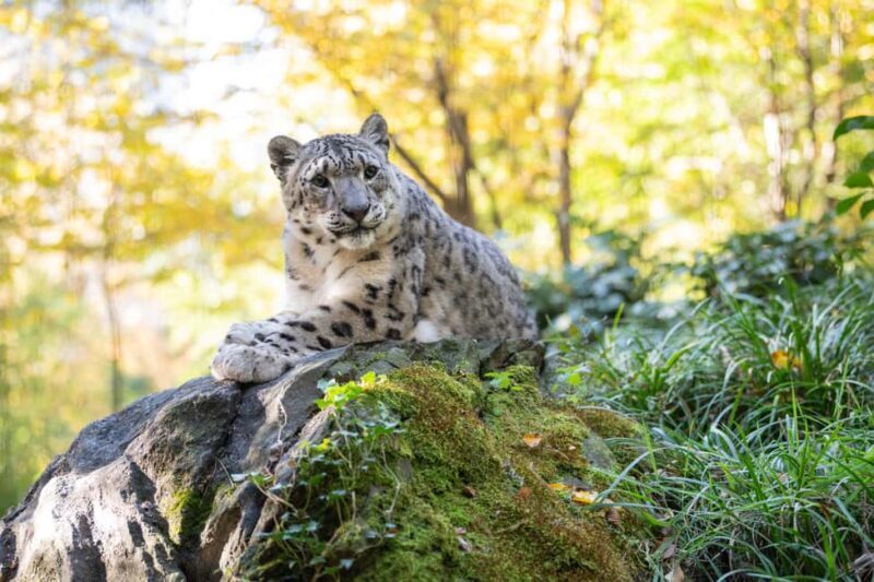 Central Park Zoo Entry Ticket - Key Points