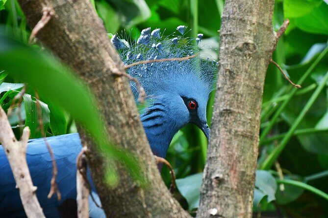 Central Park Zoo Skip-the-line Tickets & Private Transfers - Considering the Cost and Value