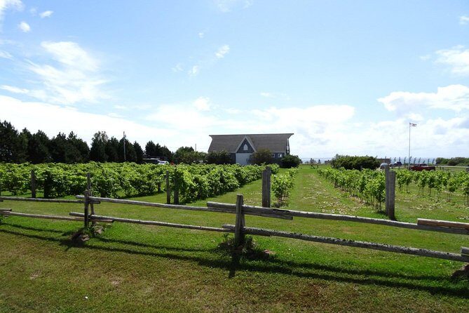 Central PEI Winery, Apiary and Mead Tasting Tour - Discover the Flavors of Prince Edward Island with the Central PEI Winery, Apiary, and Mead Tasting Tour
