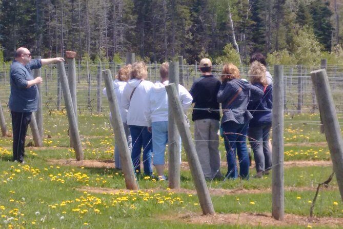 Central PEI Winery, Apiary and Mead Tasting Tour - Frequently Asked Questions