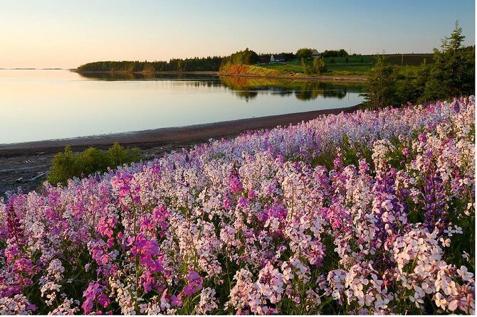 Central PEI Winery, Brewery, and Distillery Tasting Tour DE Force - Key Points