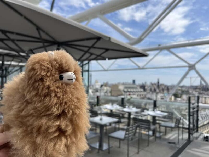 Centre Pompidou: Museum Ticket Entry& 3h Private Guided Tour - Key Points