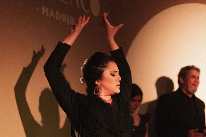 Centro Cultural Flamenco Madrid Admission Ticket - What to Expect from the Experience