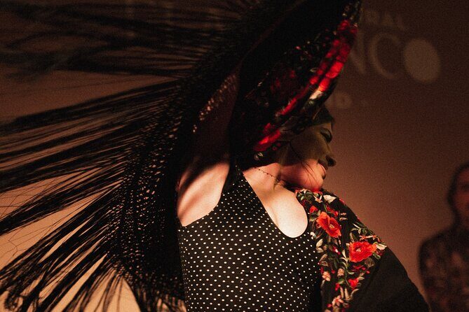Centro Cultural Flamenco Madrid Admission Ticket - Who Should Consider This Tour?