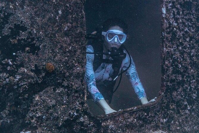 Certified Divers: Best 2-Tank Wrecks & Reef Boat Dive All Inclusive From Waikiki - The Convenience and Value of the Tour