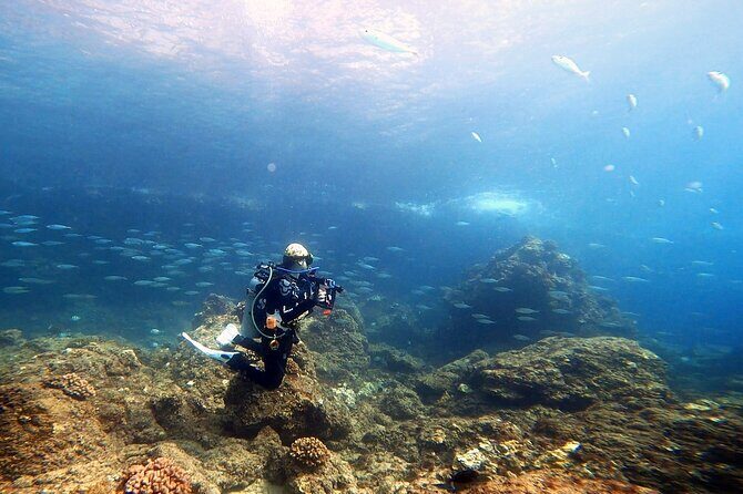 Certified Divers! Scuba dive the Ka'anapali Coast and more! - Who I Think This Tour Is Perfect For