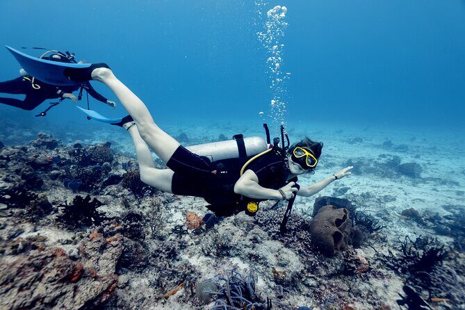 Certified Diving 2 Tanks in Cozumel - Key Points