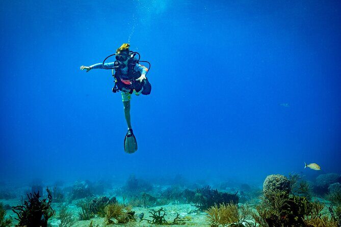 Certified Diving 2 Tanks in Cozumel - What Makes This Tour Stand Out?