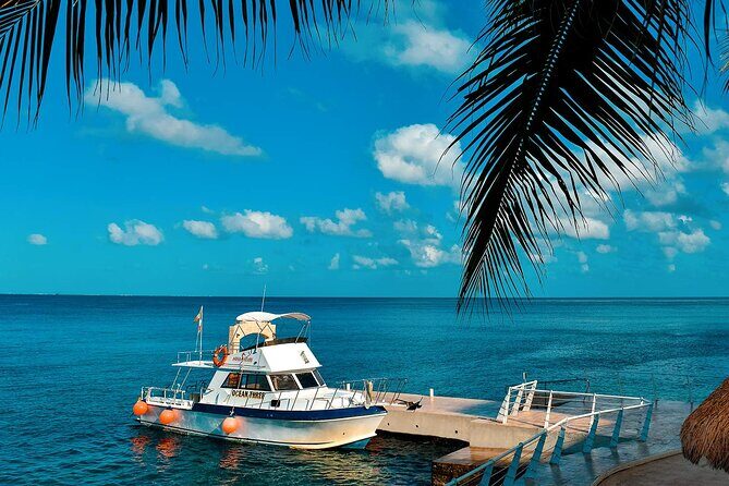 Certified Diving 2 Tanks in Cozumel - Who Is This Tour Best Suited For?