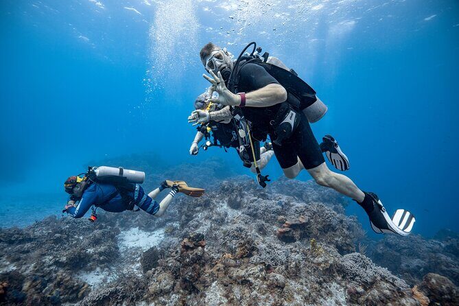 Certified Diving 2 Tanks in Cozumel - The Sum Up: Who Is This Tour Perfect For?