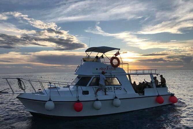 Certified Diving Experience in Cozumel - An Honest Look at the Certified Diving Experience in Cozumel