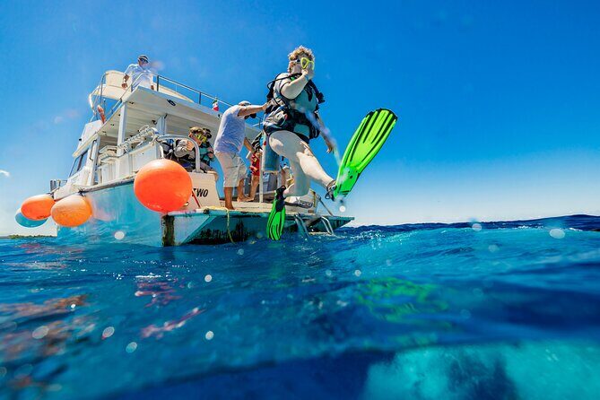 Certified Diving Experience in Cozumel - FAQ