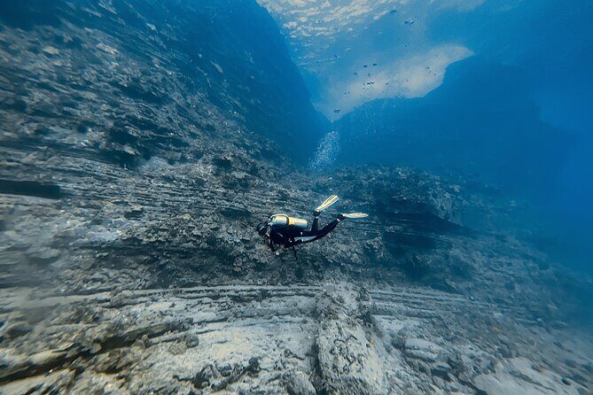 Certified Scuba Diving Experience in Honolulu - Who Should Consider This Tour?