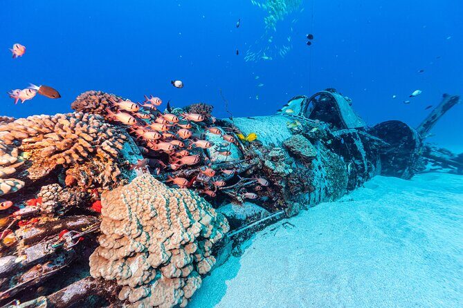 Certified Scuba Diving Experience in Honolulu - Final Thoughts