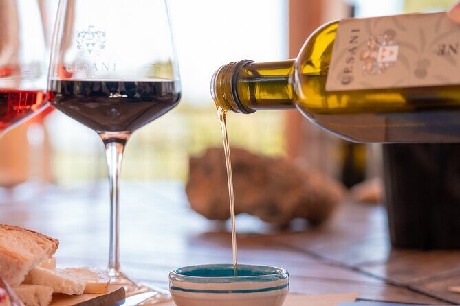 Cesani Wine Experience - Final Thoughts