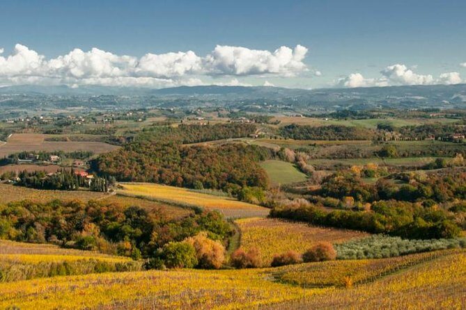 Cesani Wine Experience - FAQ