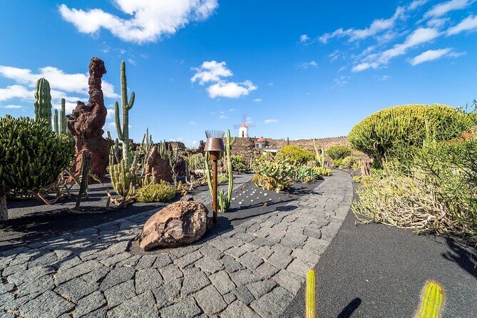 Cesar Manrique Highlights Half Day Tour - An In-Depth Look at the Tour Itinerary