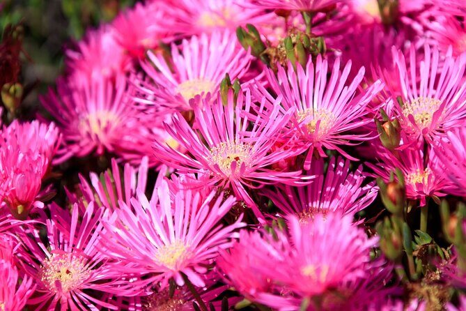 Cesar Manrique Highlights Half Day Tour - What the Reviews Say