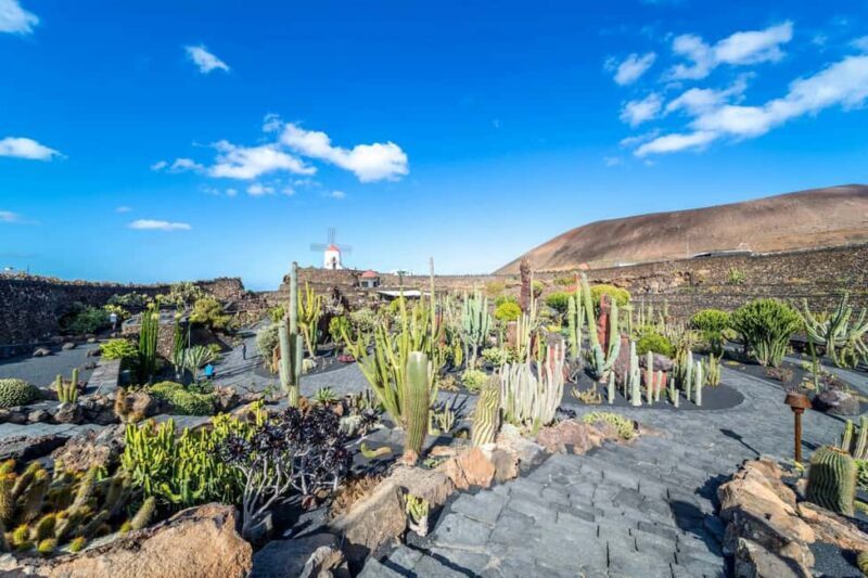 Cesar Manriques Lanzarote tour with Cactus Garden & LagOmar - Practical Details