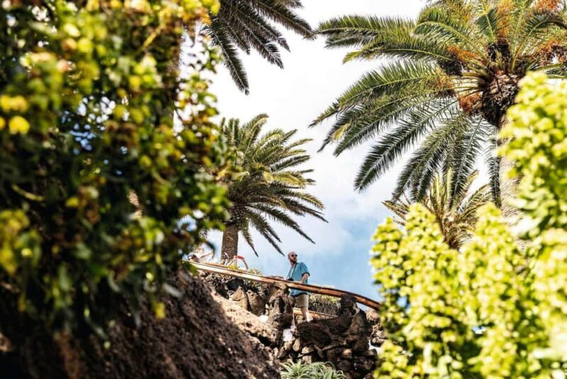 Cesar Manriques Lanzarote tour with Cactus Garden & LagOmar - Why This Tour Works Well